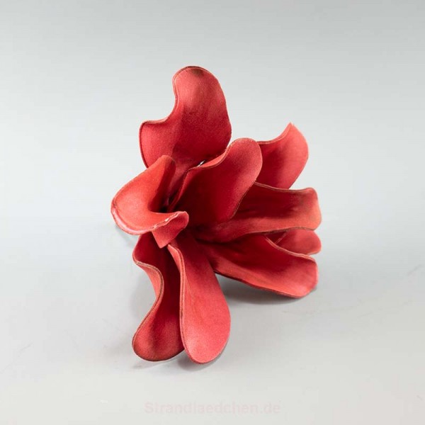 Foam Blume Rot